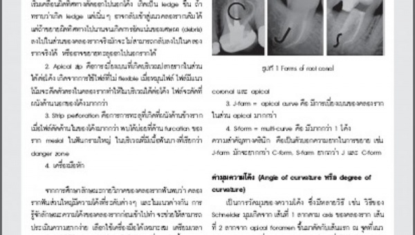 เอ็นโดสาร ปีที่ 11 ฉบับที่ 1/2549